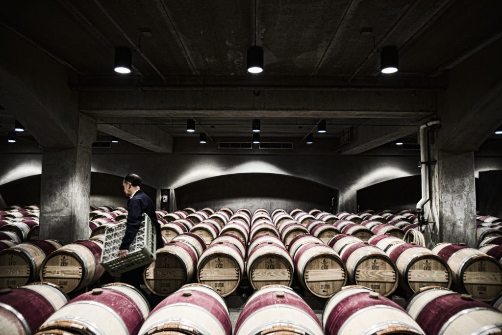 Mondavi Wine cellars
